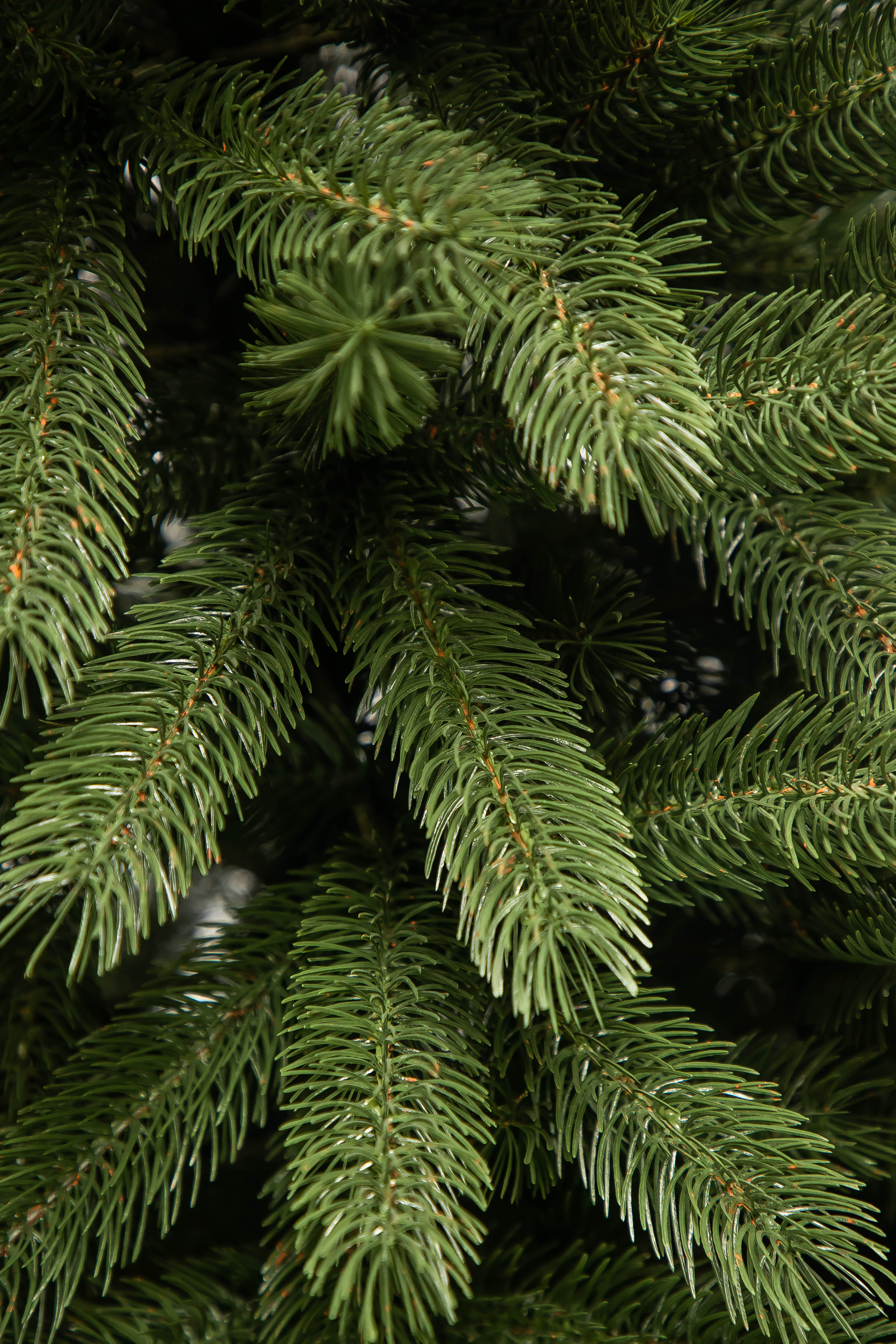 Slider 1 - Image 3