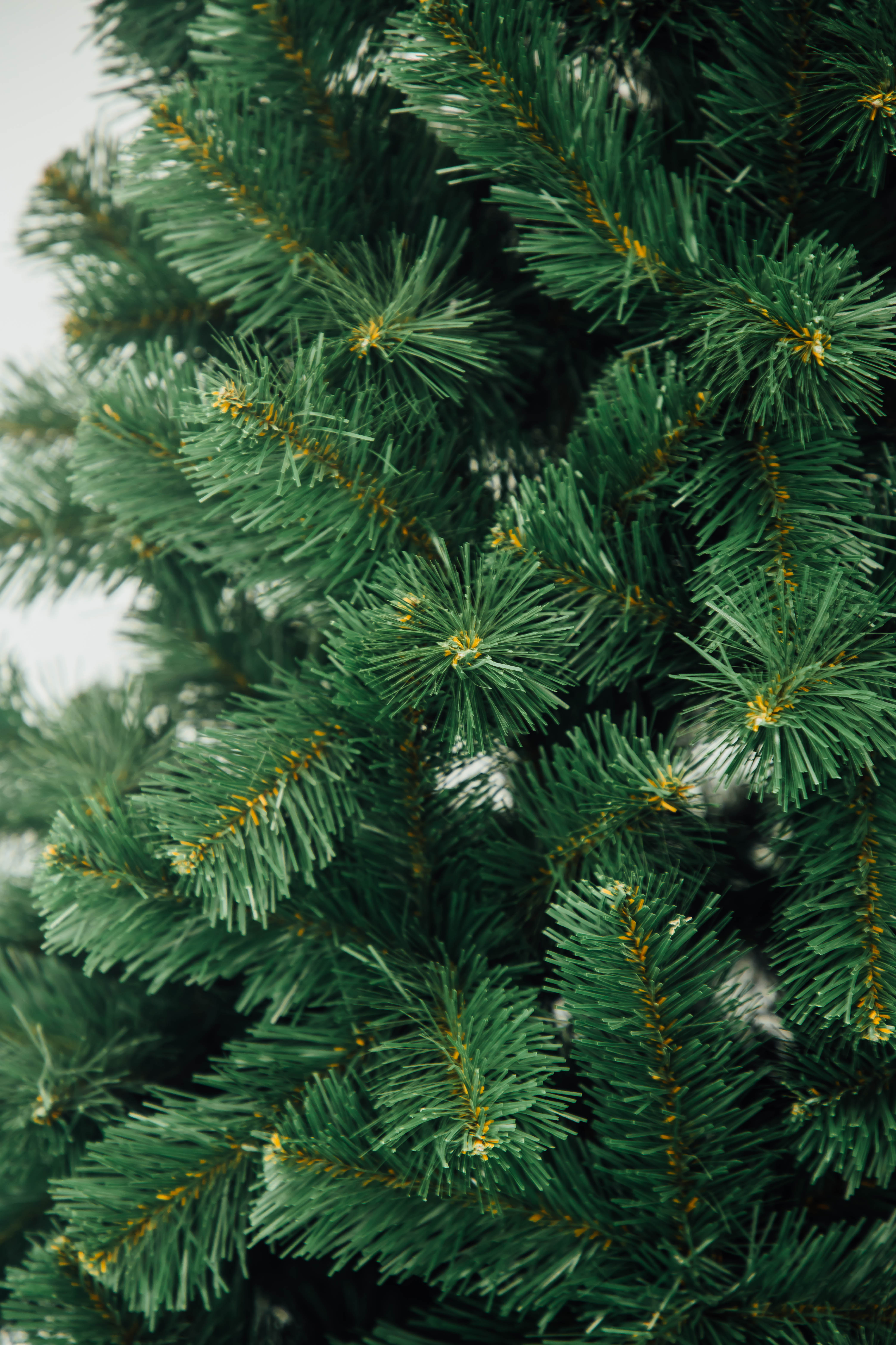 Slider 1 - Image 3