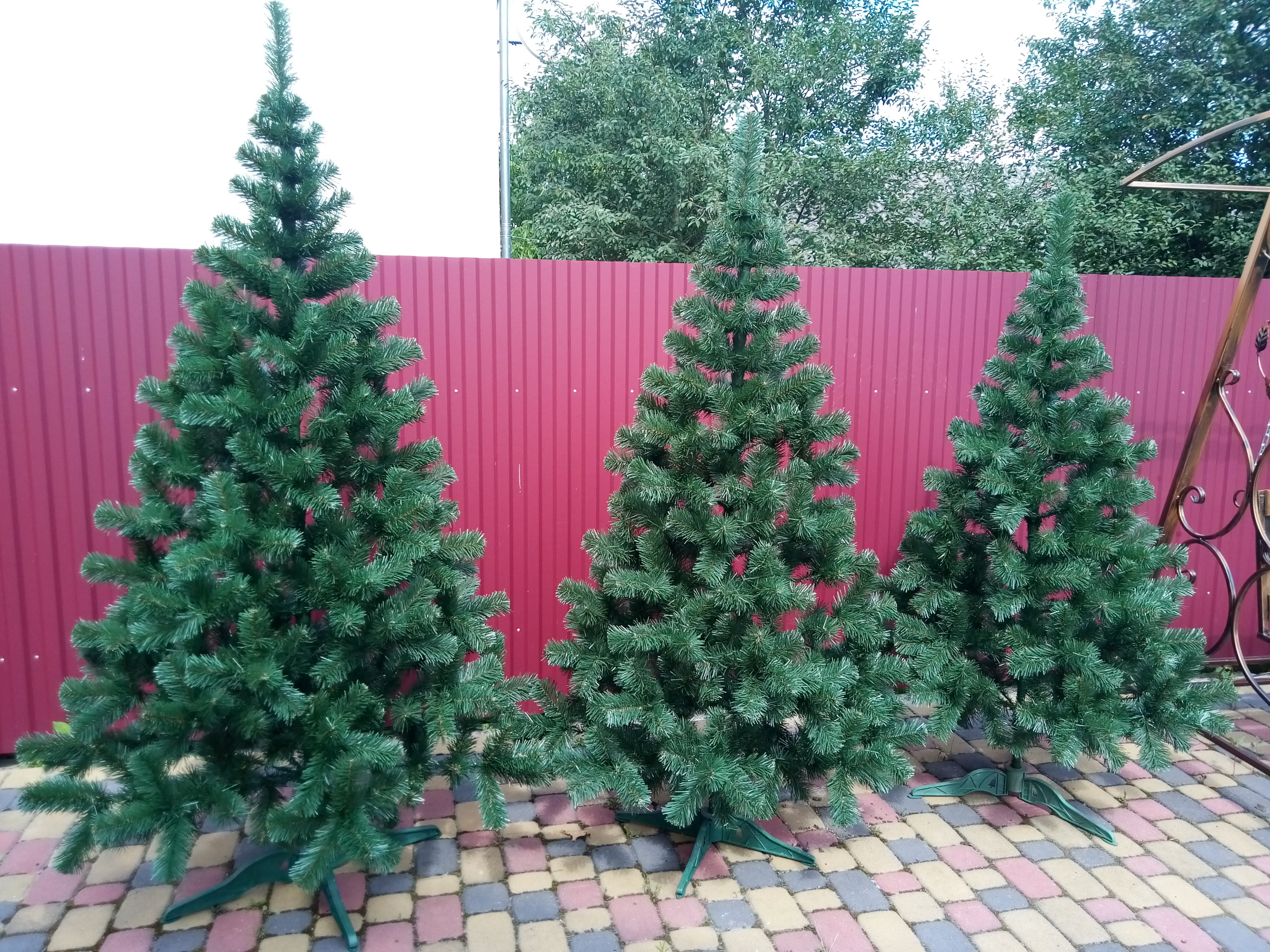 Slider 1 - Image 3