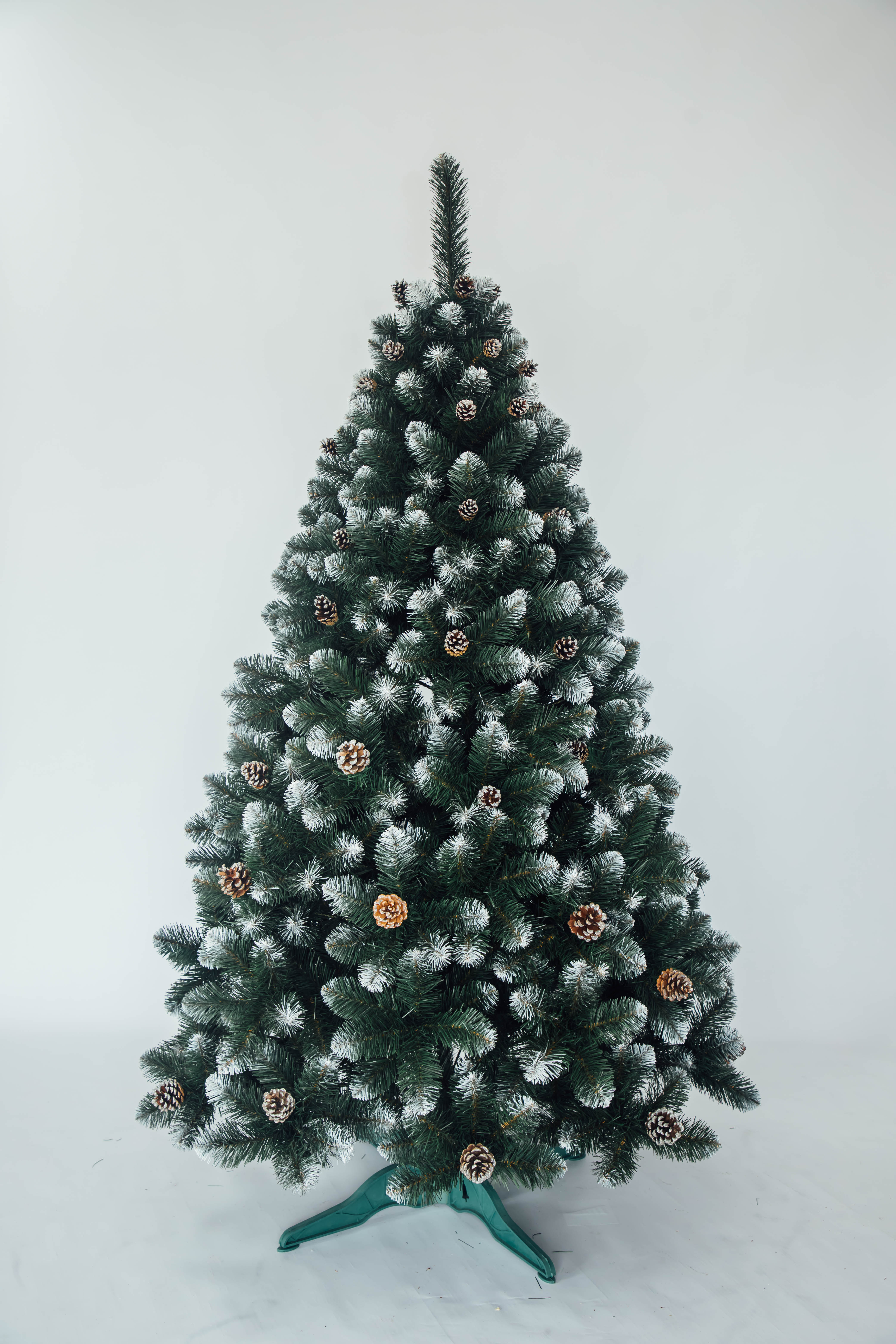 Slider 1 - Image 1