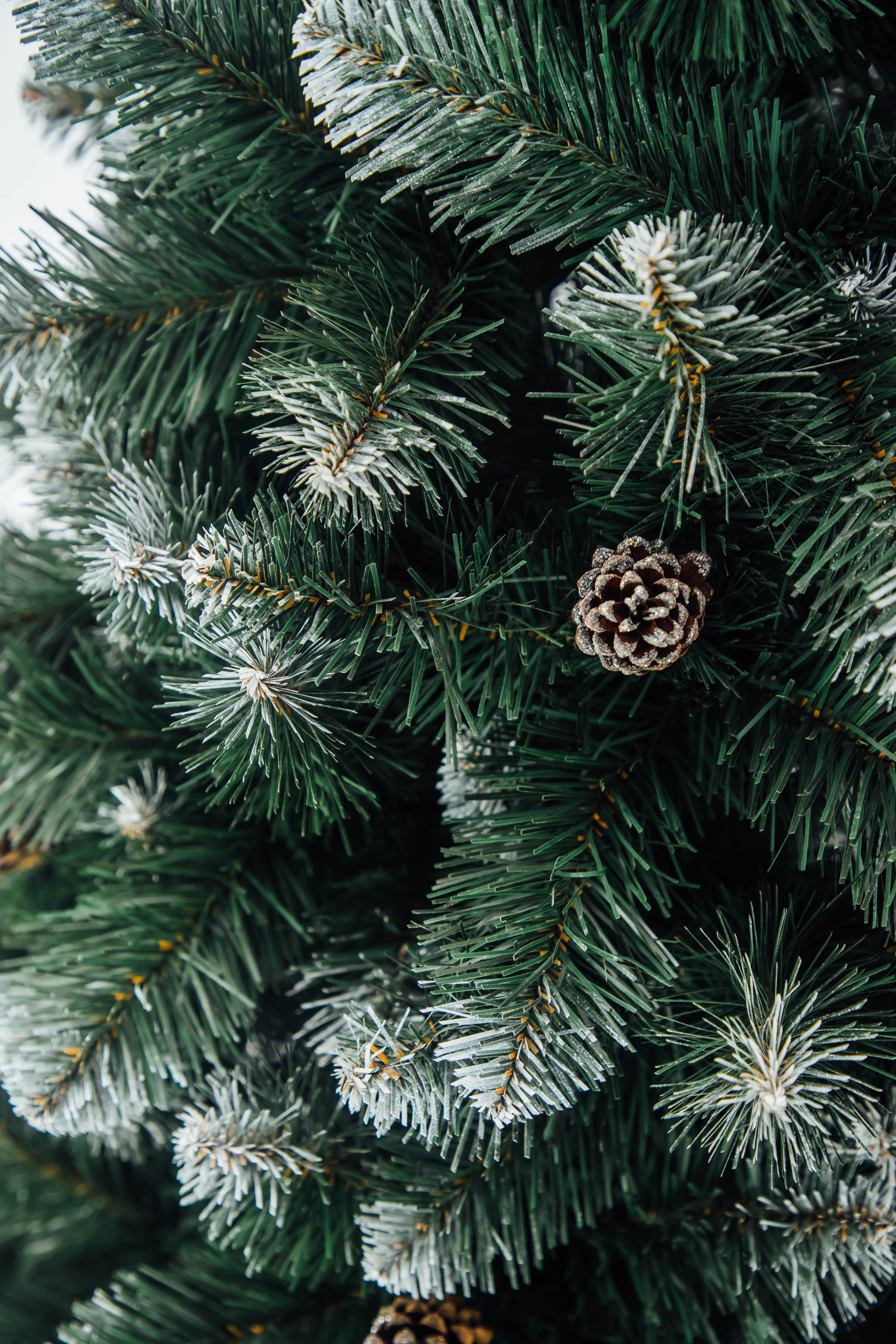 Slider 1 - Image 2