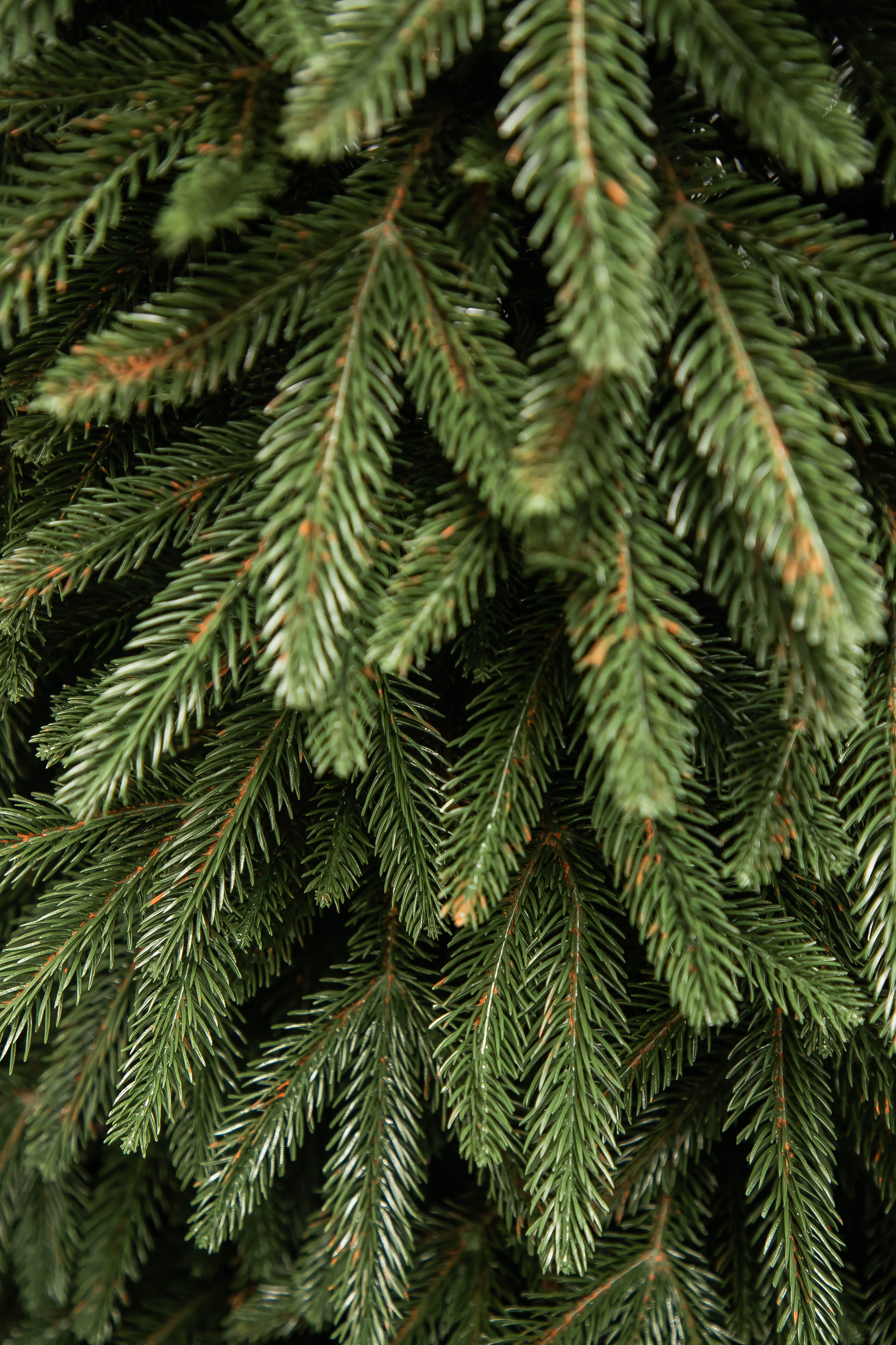 Slider 1 - Image 2