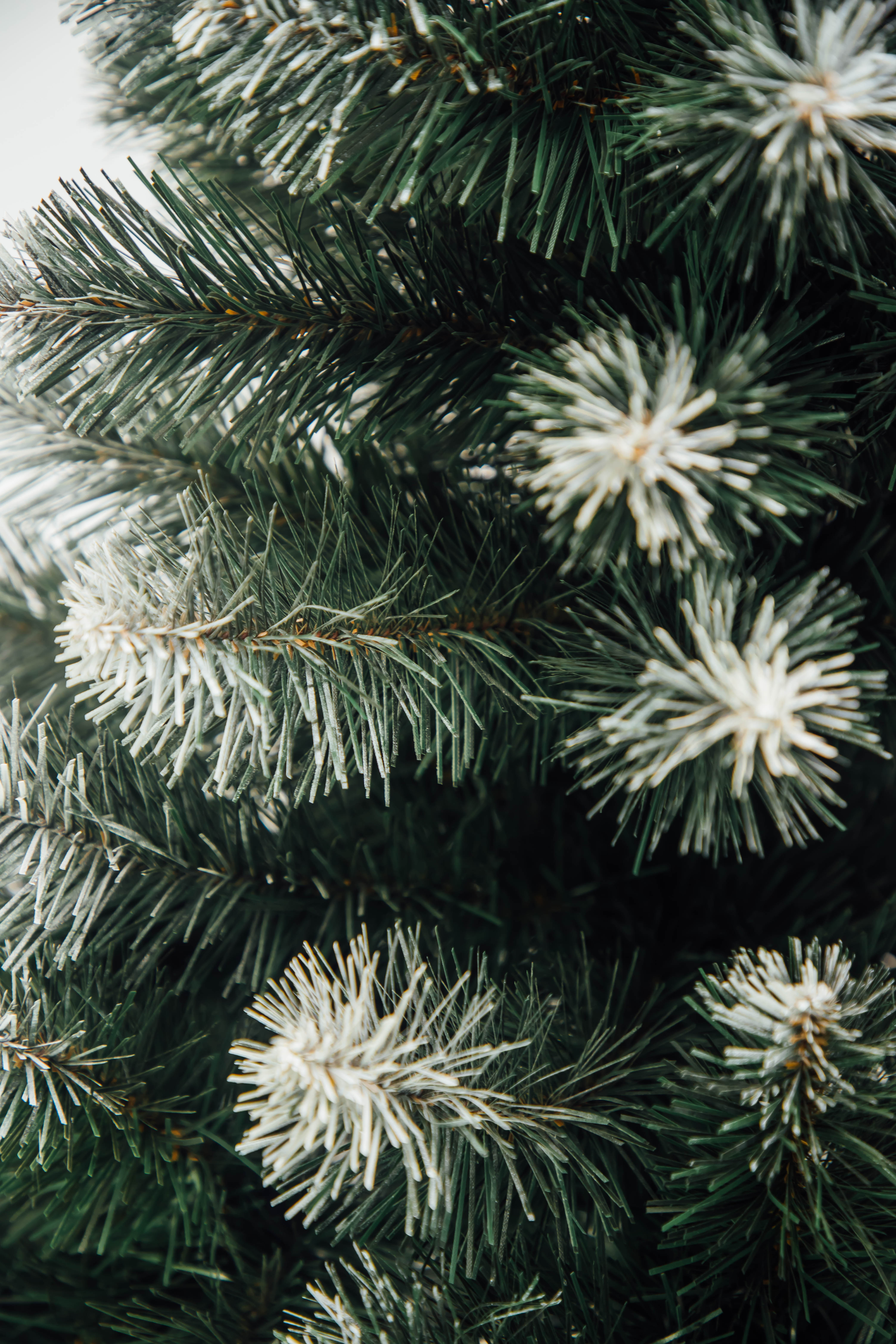 Slider 1 - Image 2