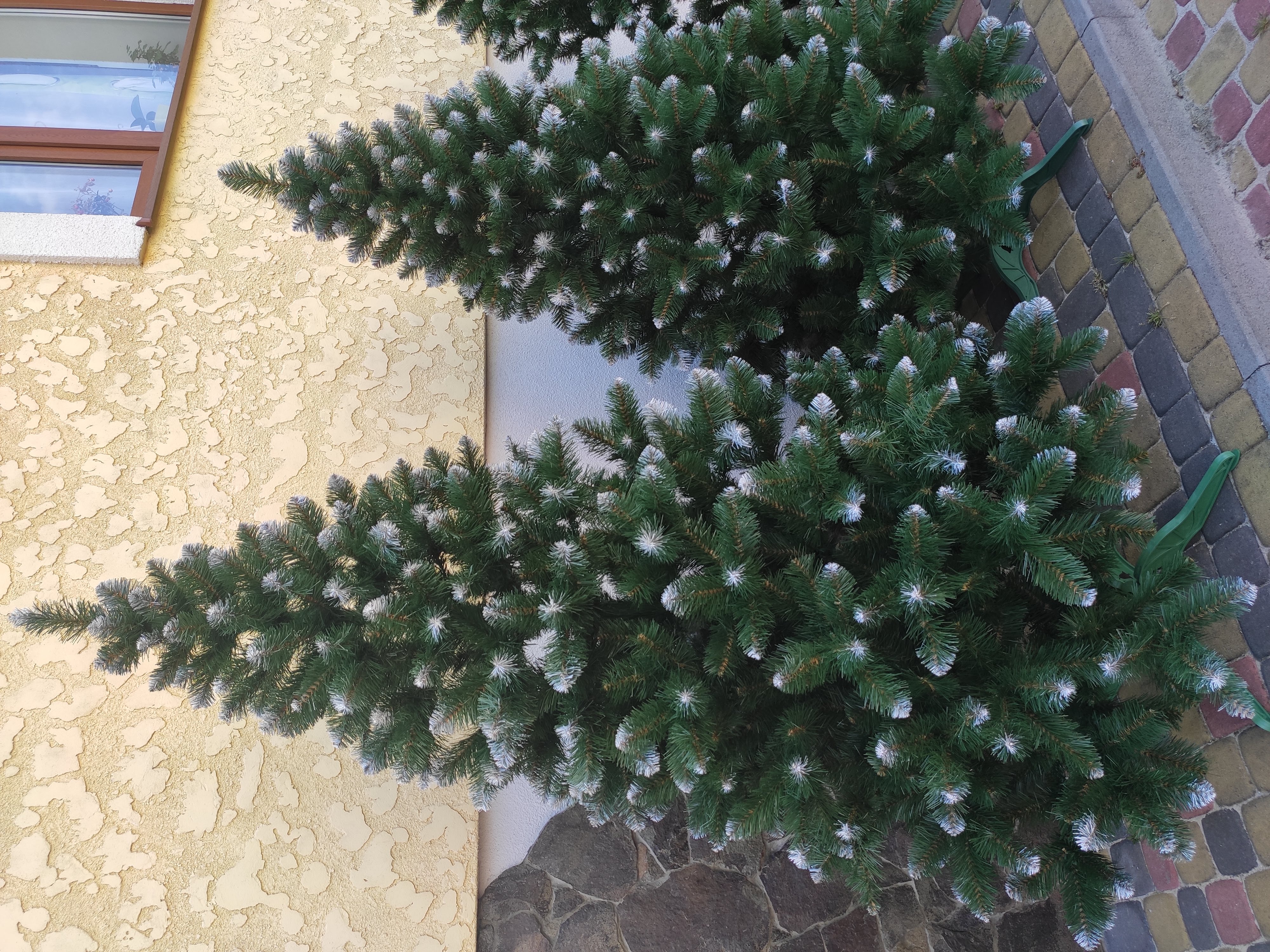 Slider 1 - Image 2