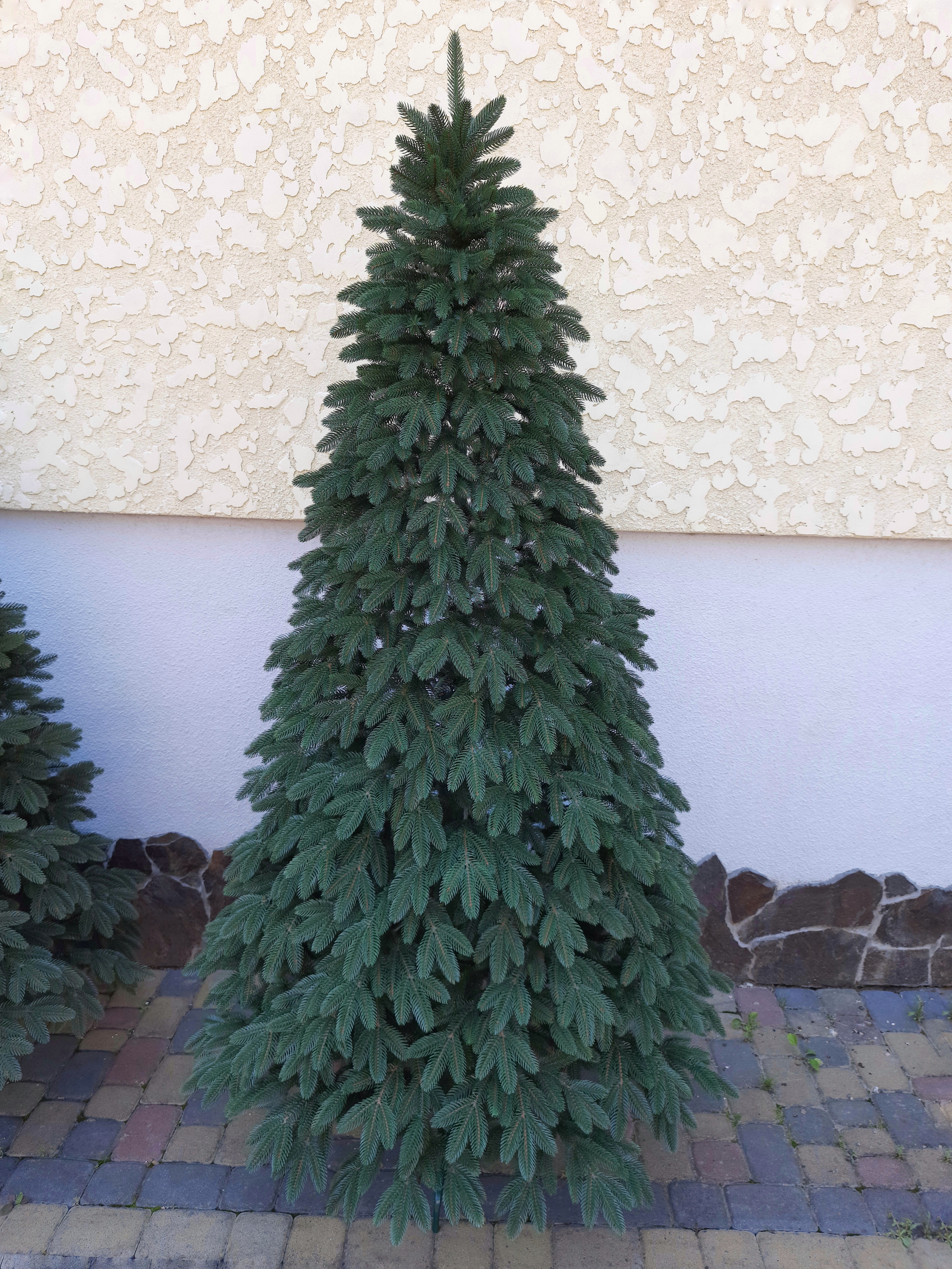 Slider 1 - Image 1
