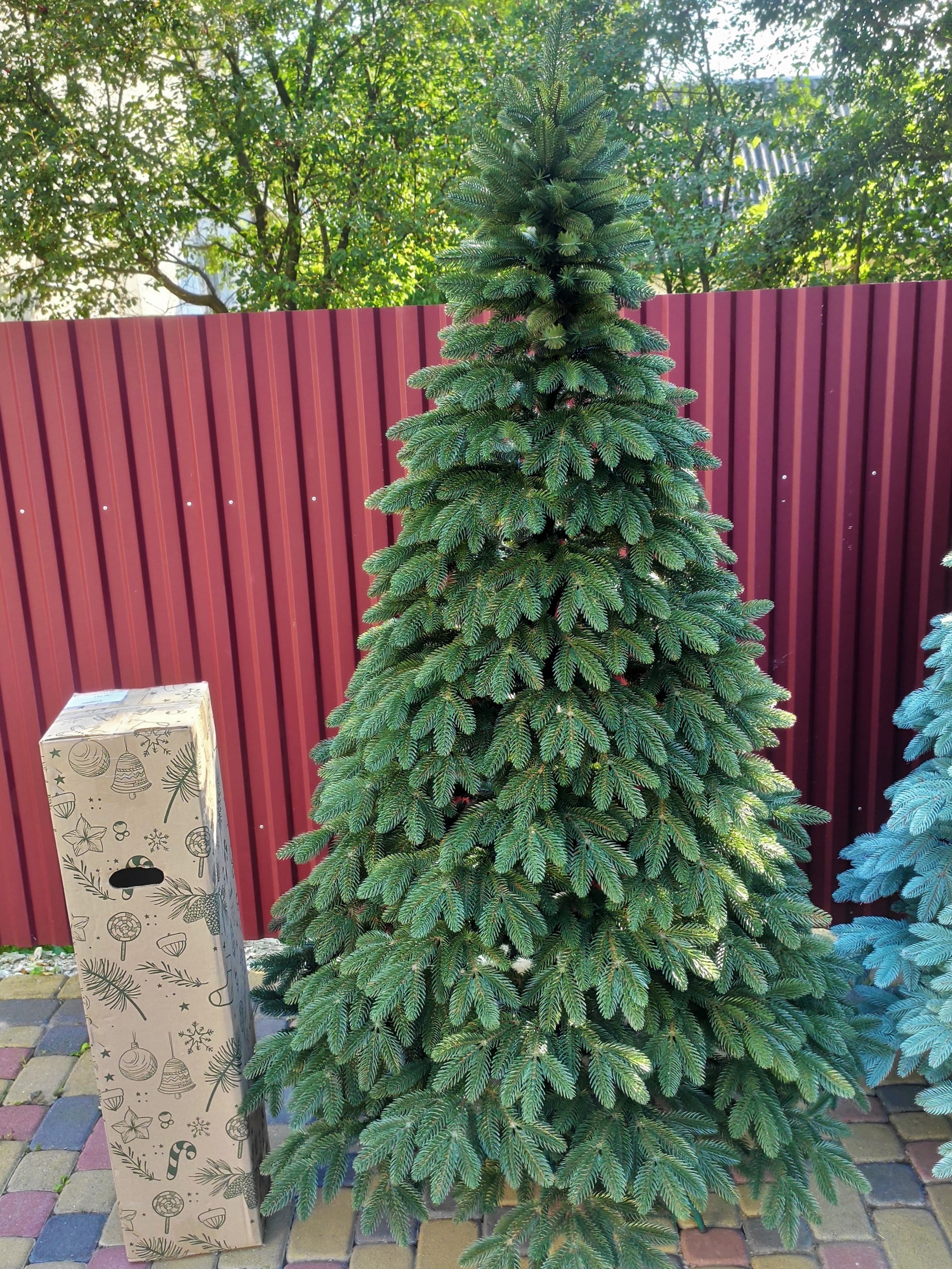 Slider 1 - Image 1