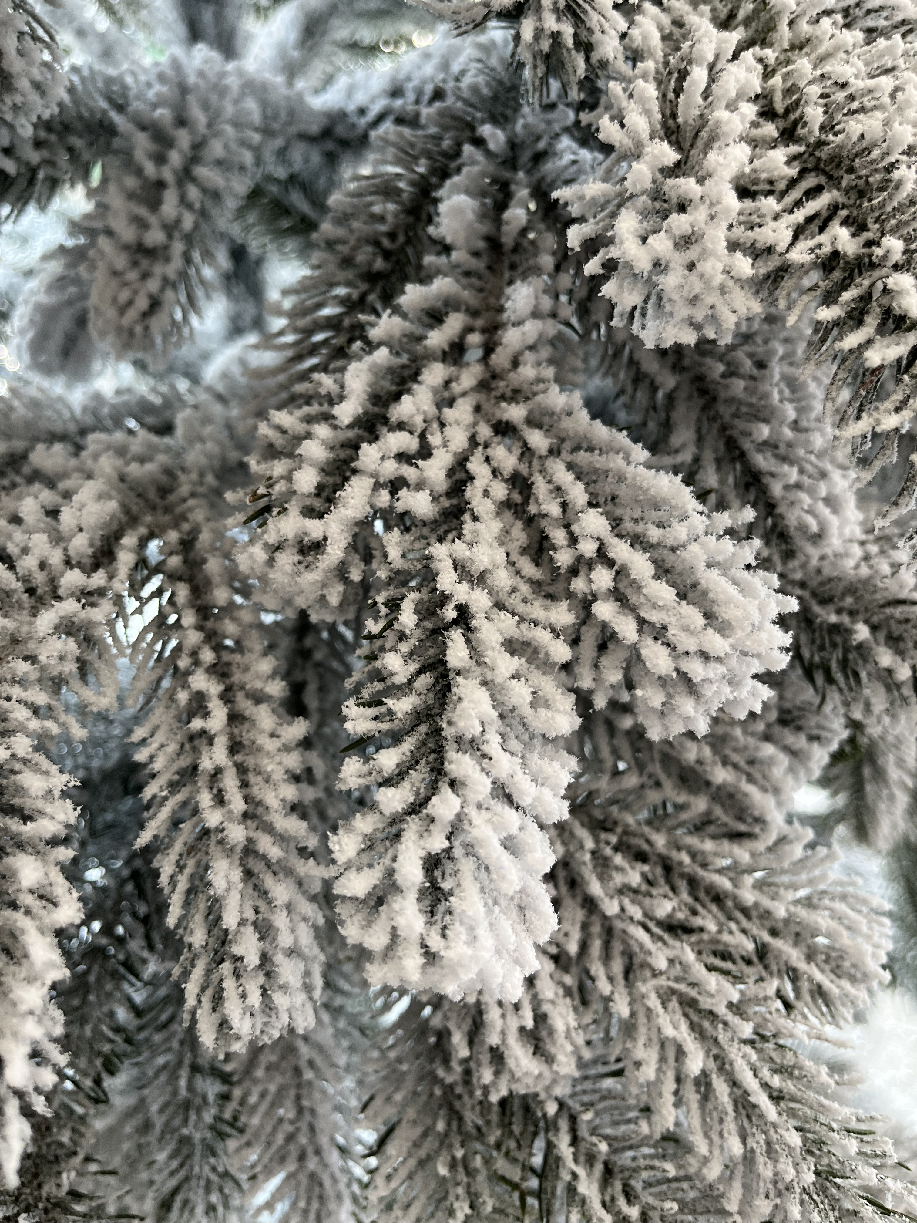 Slider 1 - Image 3
